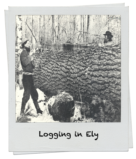 Logging in Ely