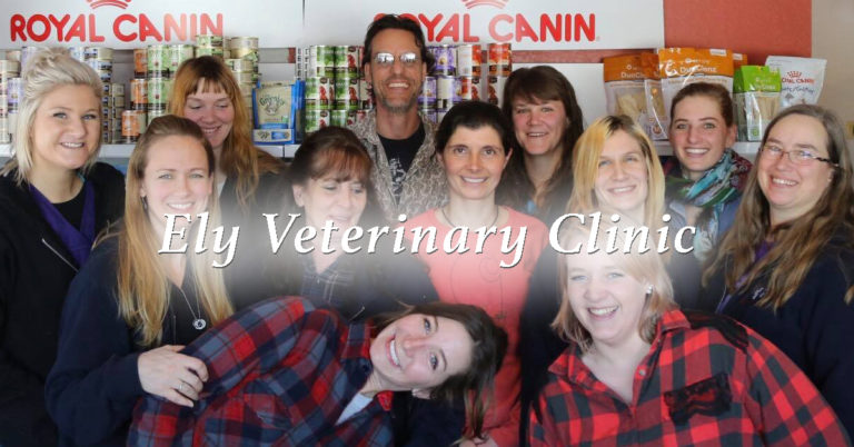 Ely Veterinary Clinic 768x402
